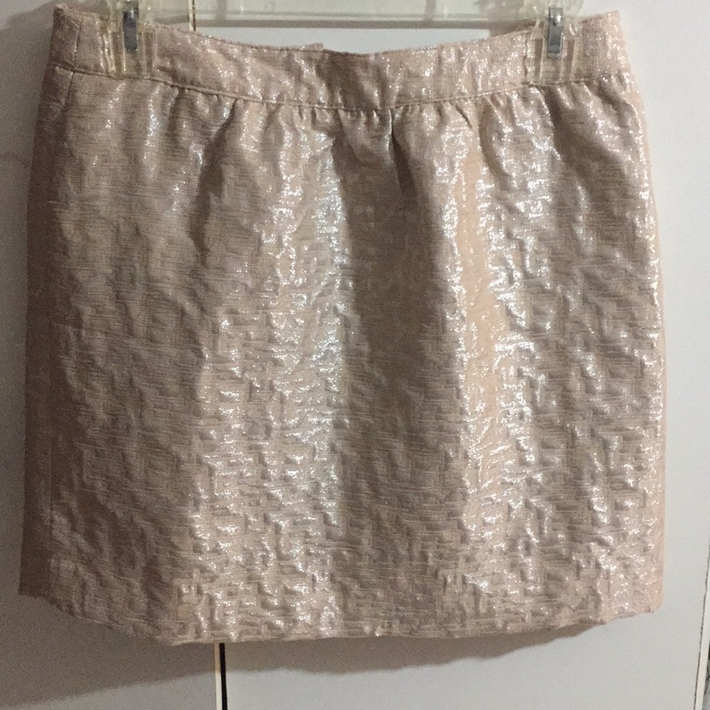 LOFT skirt